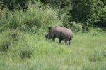 safrica_dec_13_image124.jpg